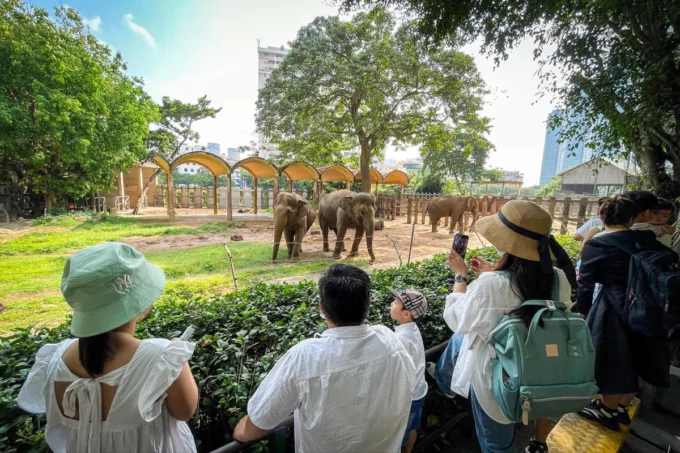 Thảo cầm viên Sài Gòn chịu tiền thuê đất mỗi năm hàng trăm tỉ đồng, nợ quá hạn gần 800 tỉ đồng