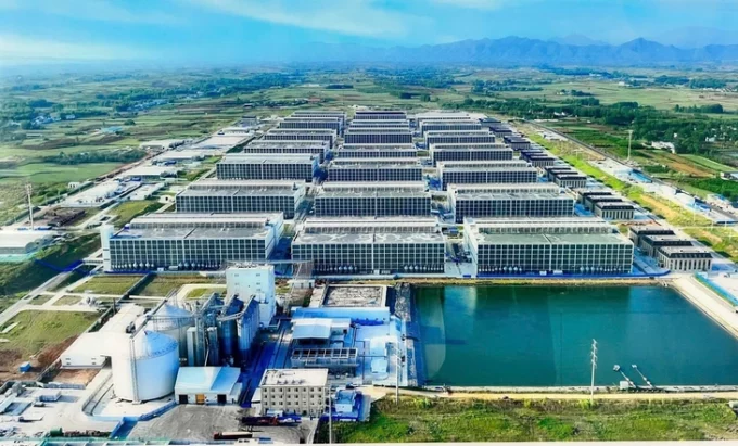 Doanh nghiệp Việt Nam đề xuất xây chung cư cao tầng nuôi heo